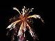 DSCN1687.JPG