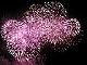 DSCN2391.JPG