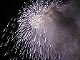 DSCN1174.JPG